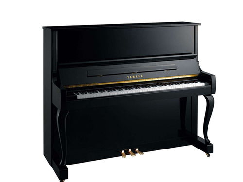 岳陽(yáng)2萬(wàn)左右鋼琴去哪買鋼琴免費(fèi)運(yùn)送 長(zhǎng)沙市岳麓區(qū)藍(lán)音樂器商行