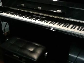 圖 浦東地區專業一對一鋼琴家教及鋼琴陪練 上海文體培訓