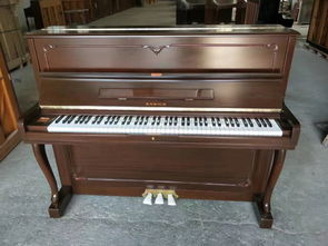 圖 鋼琴出租 天津租鋼琴 天津文體 樂器