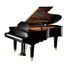 【星海鋼琴 XINGHAI 卡利西亞 M-165 三角鋼琴 臥式鋼琴 黑色和佩卓夫鋼琴/高端鋼琴/專業鋼琴/進口鋼琴/三角鋼琴/佩卓夫P173Bre哪個好】星海鋼琴 XINGHAI 卡利西亞 M-165 三角鋼琴 臥式鋼琴 黑色和佩卓夫鋼琴/高端鋼琴/專業鋼琴/進口鋼琴/三角鋼琴/佩卓夫P173Bre有什么區別-商品比較-