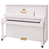 【海資曼/海資曼125/立式鋼琴和佩卓夫鋼琴/高端鋼琴/專業鋼琴/進口鋼琴/三角鋼琴/佩卓夫P173Bre哪個好】海資曼/海資曼125/立式鋼琴和佩卓夫鋼琴/高端鋼琴/專業鋼琴/進口鋼琴/三角鋼琴/佩卓夫P173Bre有什么區別-商品比較-