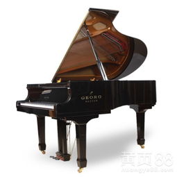 喬治布萊耶三角鋼琴gb u9原裝進(jìn)口鋼琴專業(yè)演奏級成人家用專業(yè)88鍵