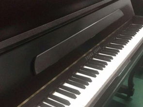 圖 鋼琴特價 進口雅馬哈,英昌鋼琴 三益鋼琴優惠促銷 卓漫大型倉儲批發零售中心 深圳文體 樂器