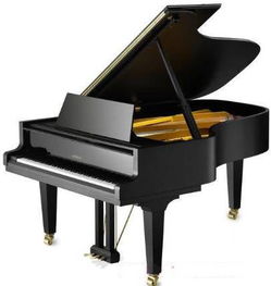 邀你共赴中音五一器樂盛宴