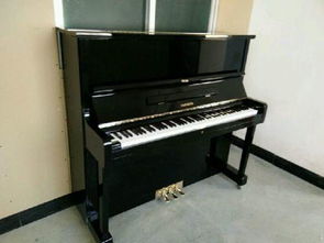 高性價比鋼琴迪亞帕森鋼琴日本原裝進口