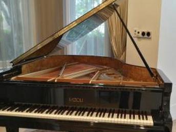 圖 三十年鋼琴調音師 鋼琴維修 保養 清潔等服務 深圳文體 樂器