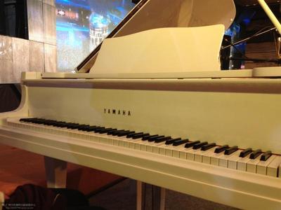 池州鋼琴進(jìn)口報(bào)關(guān)價(jià)格_池州鋼琴進(jìn)口報(bào)關(guān)_環(huán)航進(jìn)出口代理公司