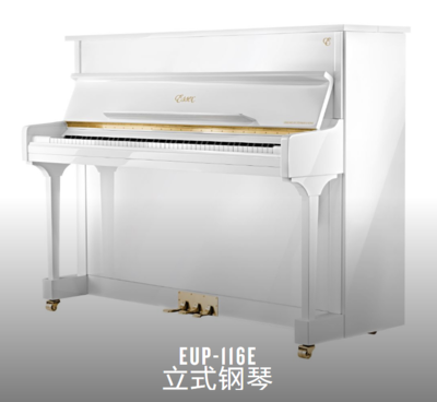 施坦威艾塞克斯鋼琴一般多少錢?