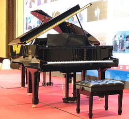 斯坦梅爾鋼琴ⅰsteinmeyer高端鋼琴中的貴族ⅰ世界頂級手工鋼琴 產品篇