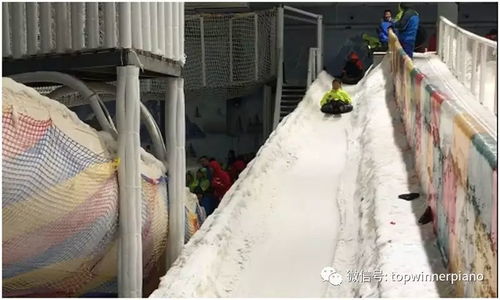 頂勝鋼琴雅馬哈 kawai 歐美琴,2018進口二手鋼琴廠暑期冰雪世界親