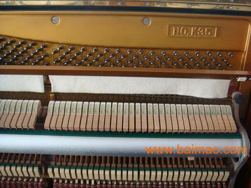 日本進口二手鋼琴批發(fā)kawai鋼琴批發(fā)kawai鋼琴出租鋼琴,日本進口二手鋼琴批發(fā)kawai鋼琴批發(fā)kawai鋼琴出租鋼琴生產(chǎn)廠家,日本進口二手鋼琴批發(fā)kawai鋼琴批發(fā)kawai鋼琴出租鋼琴價格