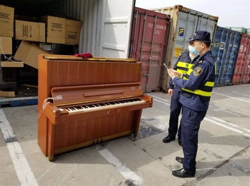 上海海關在進口舊鋼琴中查獲象牙制品,竟貼在琴鍵上