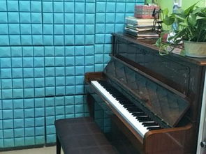 圖 海淀馬連洼一小附近辛巴星藝術鋼琴架子鼓培訓學校 北京文體培訓