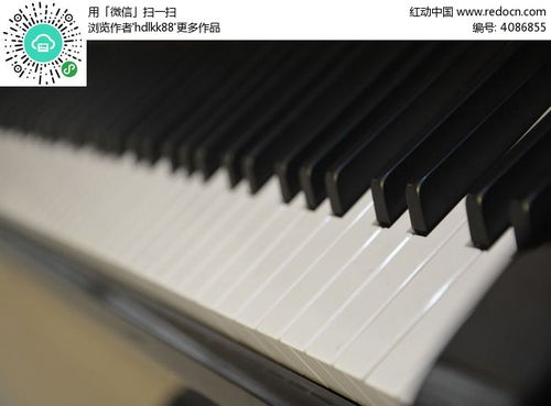 鋼琴鍵高清圖片下載 紅動(dòng)網(wǎng)