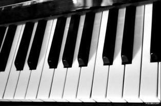意境唯美的鋼琴圖片