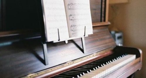 買鋼琴是買國(guó)產(chǎn)琴還是進(jìn)口琴