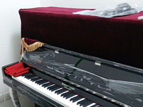 圖 大渡口學(xué)吉他鋼琴古箏架子鼓二胡笛子葫蘆絲到秋之韻 重慶文體培訓(xùn)