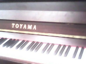 圖 名牌鋼琴出售 進口國產鋼琴租賃 倉庫展廳暑假特價 北京文體 樂器