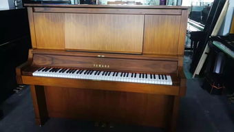 太值了 各類進口原裝鋼琴平民價,要買琴的蒼南人肯定要看看了