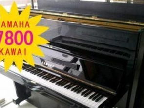 圖 原裝進口雅馬哈卡瓦伊鋼琴出租95元 月 上海文體 樂器
