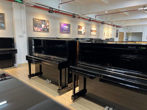 杭州買鋼琴哪個(gè)品牌性價(jià)比高