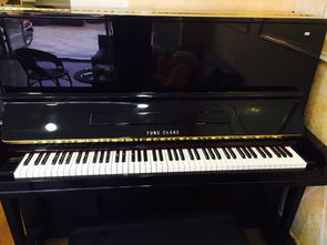 常州柏斯琴行放心精品0甲醛原裝進口鋼琴低至3880,租鋼琴每天3元起,金秋特價優惠,好琴終身維護