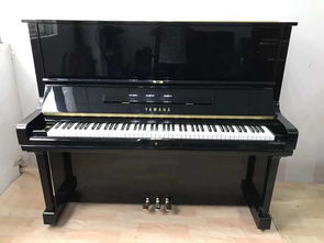 出國虧本處理一批頂級高端鋼琴