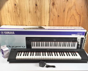 日本電子鋼琴代購,日本電子鋼琴價格,日本二手電子鋼琴,日本電子鋼琴商品購買