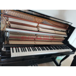 【星海鋼琴】星海鋼琴哪款好?看實拍,買好貨!- 京東優評