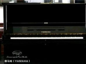 圖 深圳鋼琴廠批發原裝進口雅馬哈yamaha 卡哇伊kawa 深圳文體 樂器