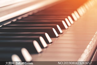 鋼琴上的琴鍵近景特寫攝影高清圖片