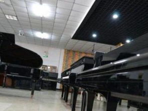 圖 年末特價全新德國品牌鋼琴特價 天津文體 樂器