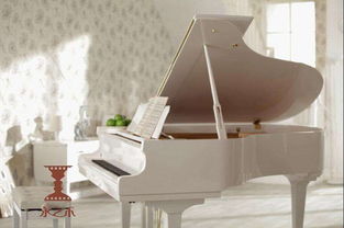 廣州進口鋼琴報關(guān)