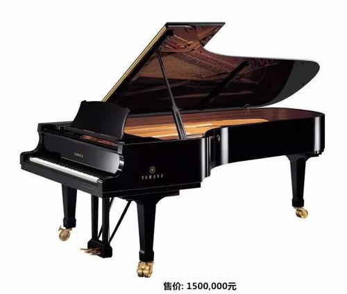 音樂界大咖 助陣東興杯少兒鋼琴決賽現(xiàn)場