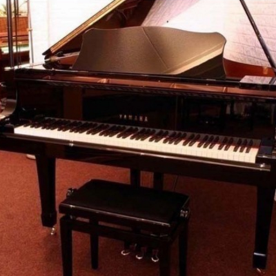 【上海進口鋼琴報關(guān)公司丨上海二手鋼琴報關(guān)公司】圖片,海量精選高清圖片庫