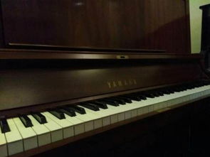 駐馬店市華音琴行鋼琴出租 出售原裝進口雅馬哈 卡哇伊等世界名琴