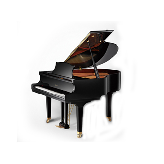 安徽琴行20年品牌企業(yè) 合肥海知音琴行 德國博蘭斯勒鋼琴,德國舒密爾鋼琴,安徽雅馬哈鋼琴代理,合肥雅馬哈鋼琴旗艦店,珠江鋼琴安徽總代理,卡瓦依鋼琴安徽代理,英昌鋼琴 星海鋼琴安徽總代理