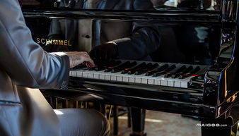 鋼琴指法訓練 鋼琴譜怎么看 記鋼琴曲譜的方法