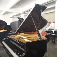 蘇州鍵盤(pán)類(lèi)樂(lè)器品牌大全