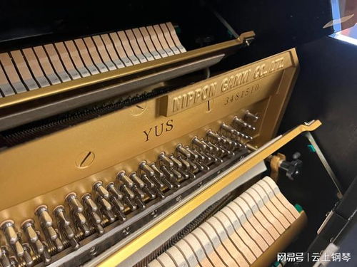 杭州二手琴去哪里買(mǎi)比較好 推薦指南