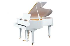 家用三角鋼琴 德國進口鋼琴 中國鋼琴十大品牌 公爵鋼琴