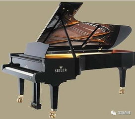 有這么好的事兒 免費讓孩子們體驗鋼琴課 小提琴課 大提琴課 這是真的嗎