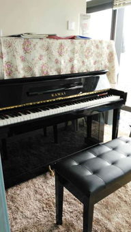 個人進口鋼琴出售 出租 培訓
