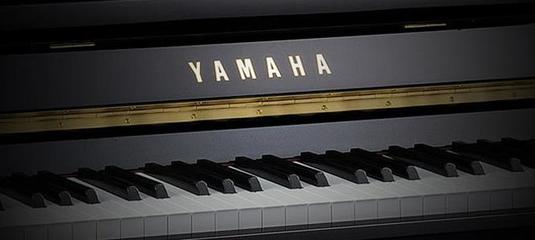 國產鋼琴和進口鋼琴