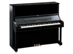 上海進(jìn)口德國(guó)博蘭斯勒二手鋼琴_中國(guó)企發(fā)網(wǎng)