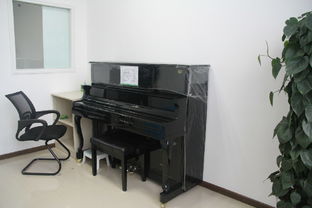 選擇鋼琴與學習音樂，首選重慶沙坪壩楓鈴琴行