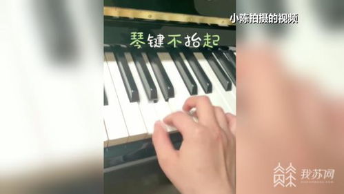 進(jìn)口鋼琴頻頻出問(wèn)題，是‘水土不服’還是另有隱情？